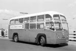 AEC Regal IV 9822E Park Royal 1953 года (UK)